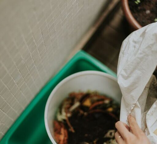 Simple and Effective Ways to Reduce Food Waste at Home